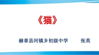 初中语文——《猫》——赫章县河镇乡初级中学张英