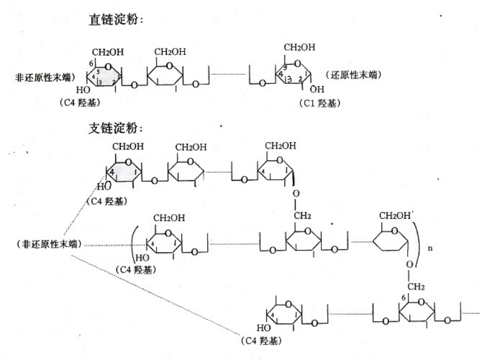 淀粉酶的生产_第3页