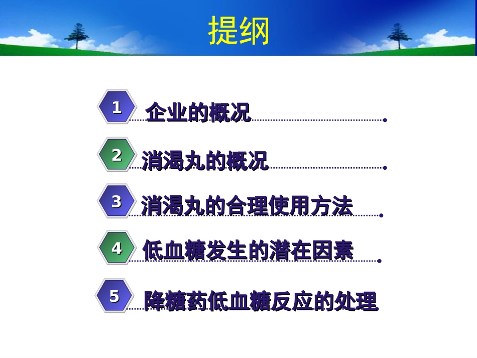 消渴丸安全合理用药_第2页