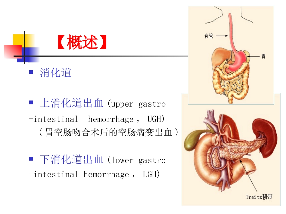 消化道出血进修班课程_第2页