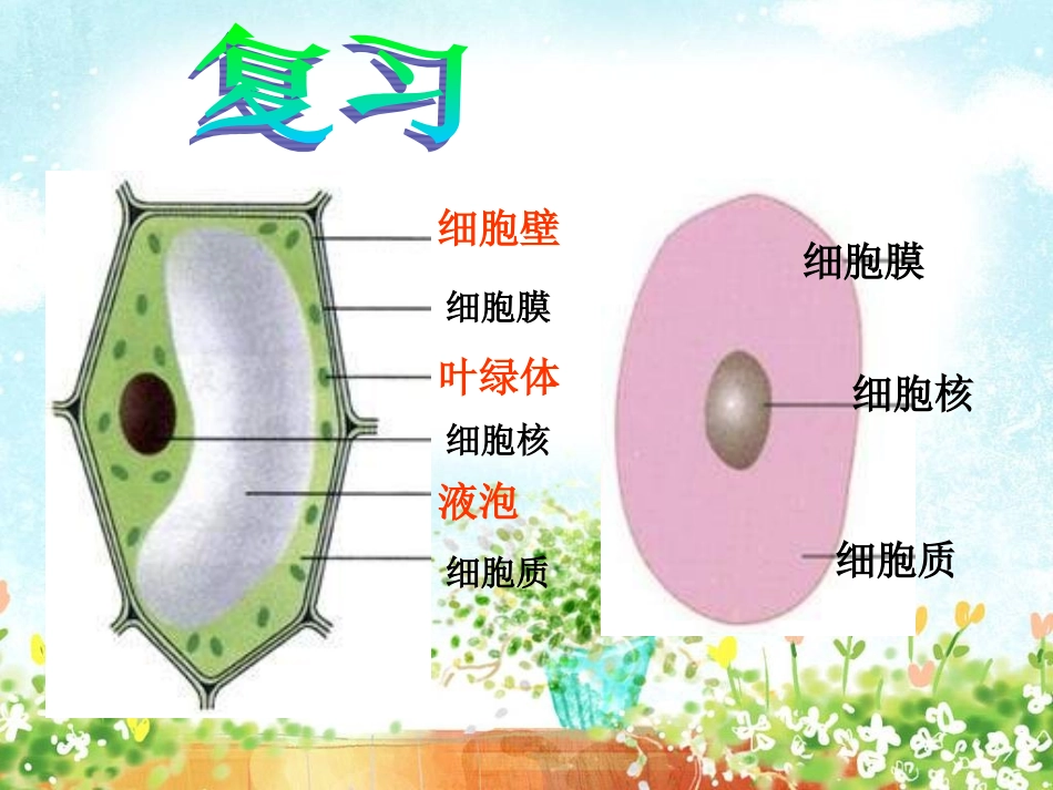 第四节细胞的生活_第2页