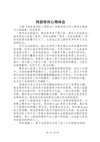 岗前培训心得体会 (31)