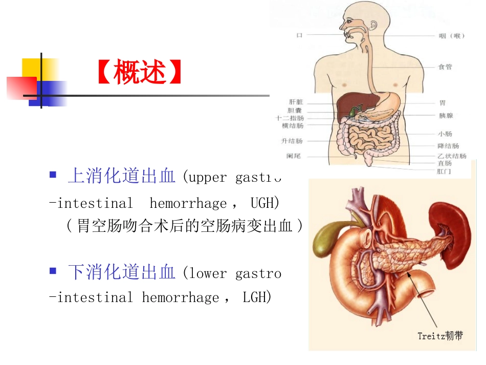 消化道出血个案苏丹_第3页