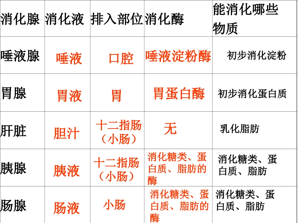 消化和吸收2-Microsoft-PowerPoint-幻灯片_第1页