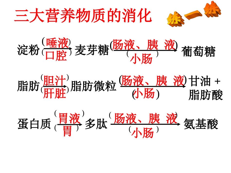 消化和吸收2-Microsoft-PowerPoint-幻灯片_第2页