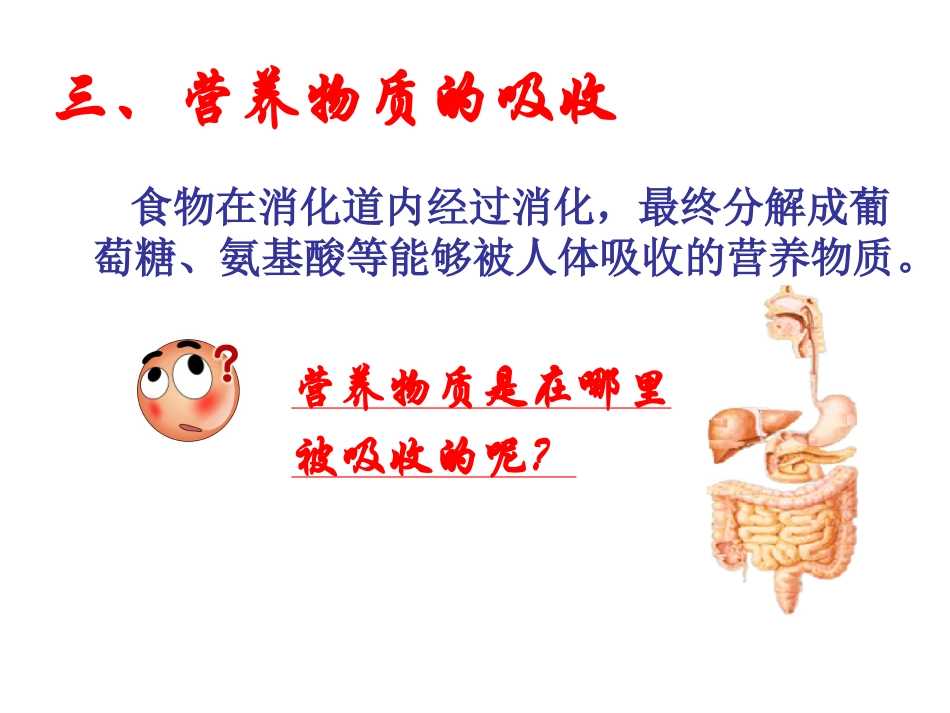 消化和吸收2-Microsoft-PowerPoint-幻灯片_第3页