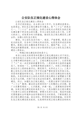 公安队伍正规化建设心得体会