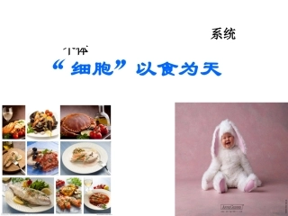 浙科版高三一轮复习《细胞的分子组成》