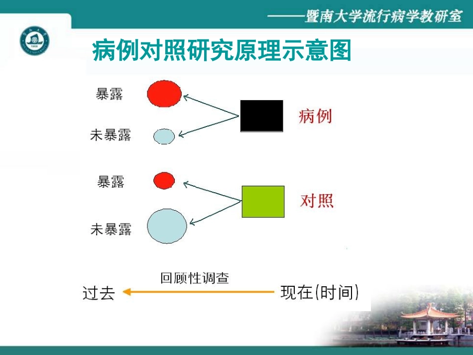 流行病学06研究_第3页