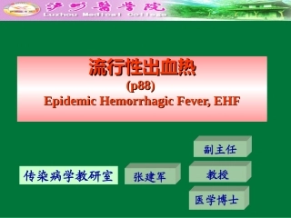 流行性出血热.ppt