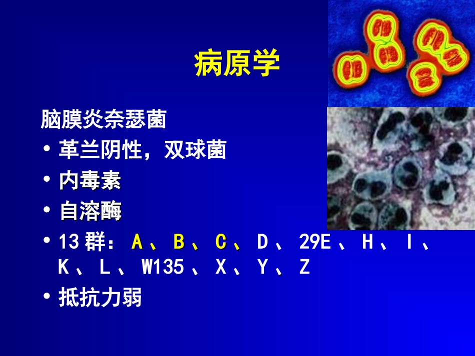 流脑幻灯片1304_第3页