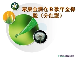泰康金满仓B款年金保险11页