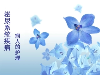 泌尿系统疾病护理总论2