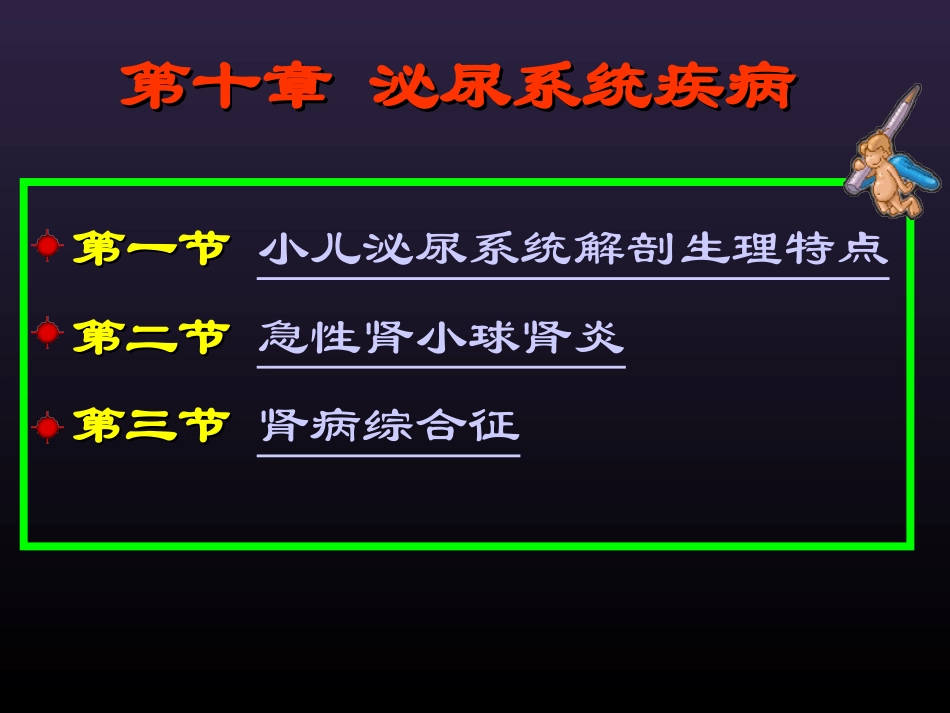 泌尿系统幻灯001_第2页