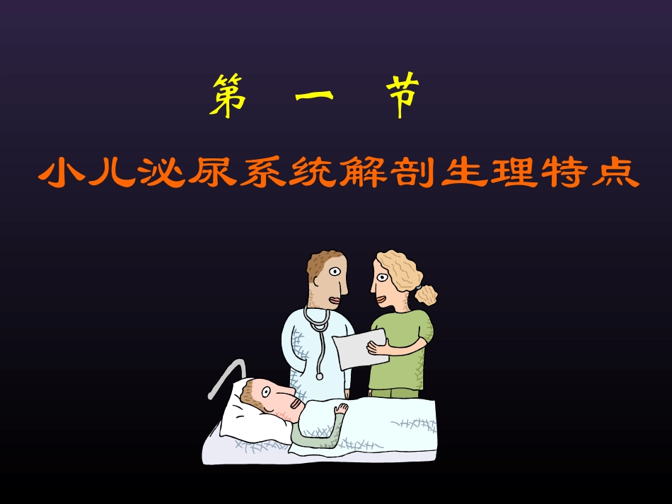 泌尿系统幻灯001_第3页