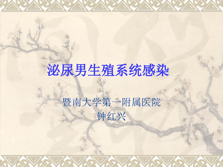 泌尿男生殖系统感染-红软基地_第1页