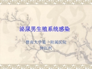 泌尿男生殖系统感染-红软基地