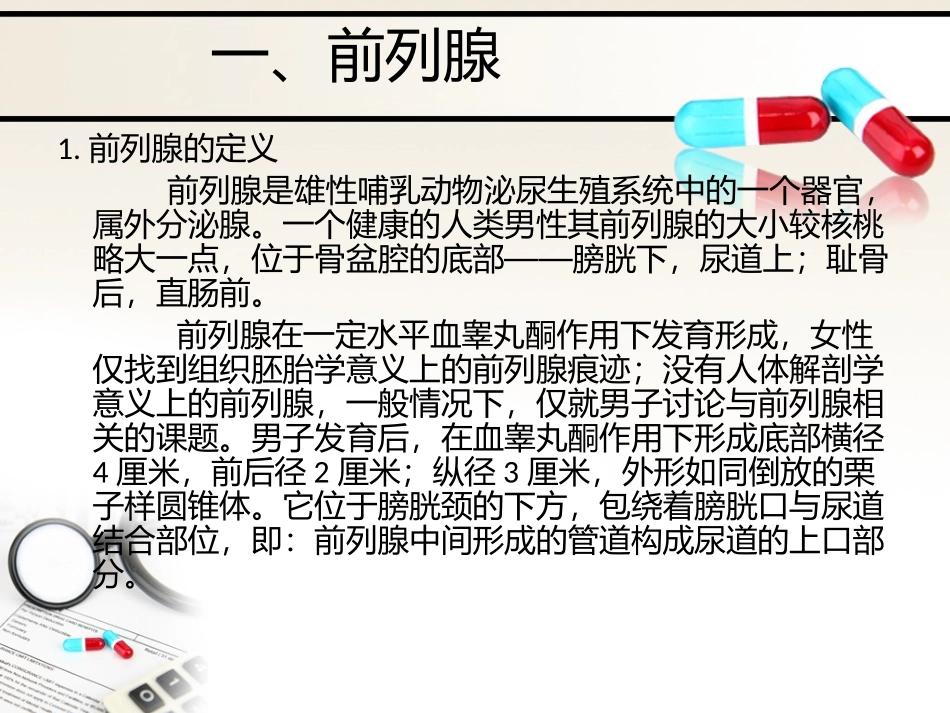 泌尿系统—前列腺_第2页