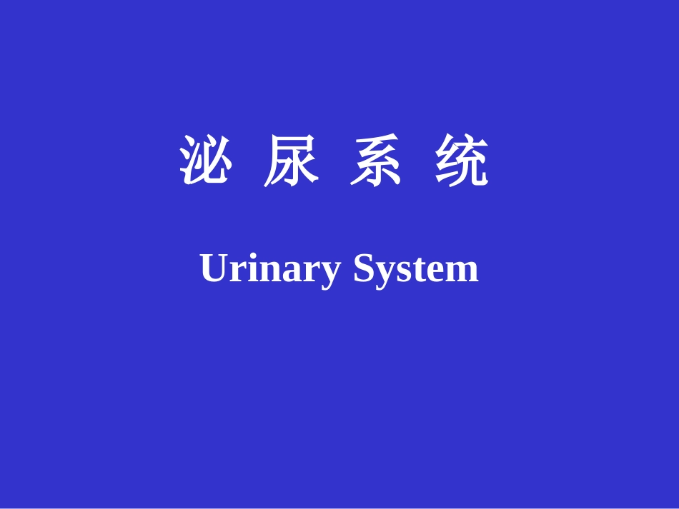 泌尿系统(2)_第1页
