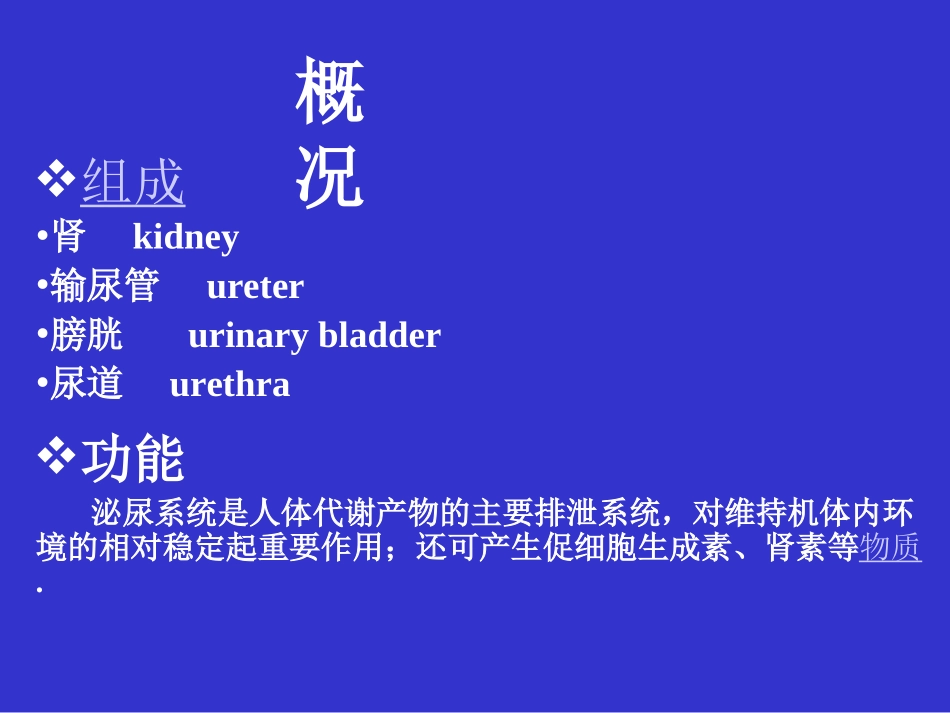 泌尿系统(2)_第2页