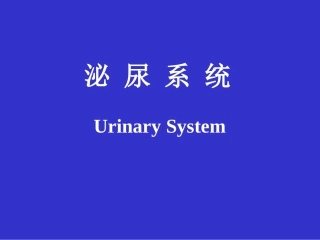 泌尿系统(2)