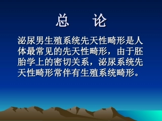 泌尿泌尿外科男生殖系统先天性畸形