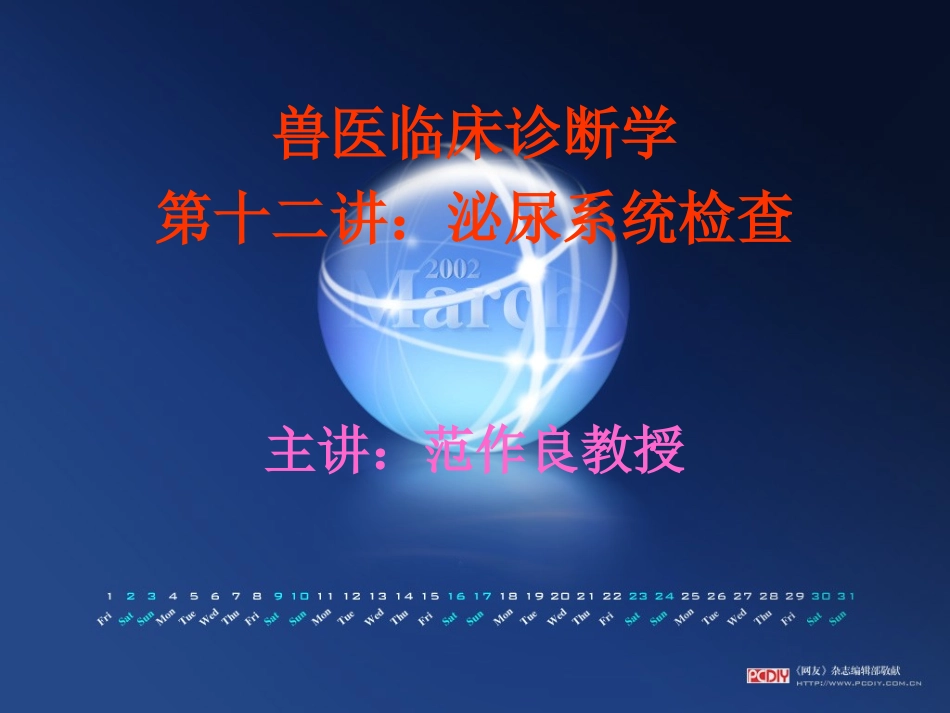 泌尿生殖系统检查_第1页