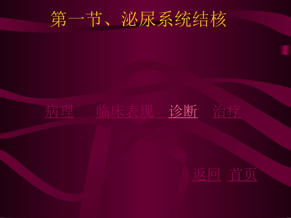 泌尿、男性生殖系统结核_第3页