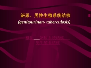 泌尿、男性生殖系统结核