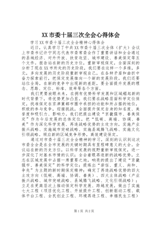 XX市委十届三次全会心得体会