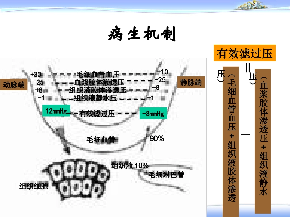 水肿—健康评估_第2页