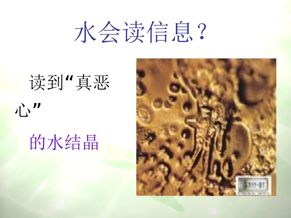 水知道答案图片_第2页