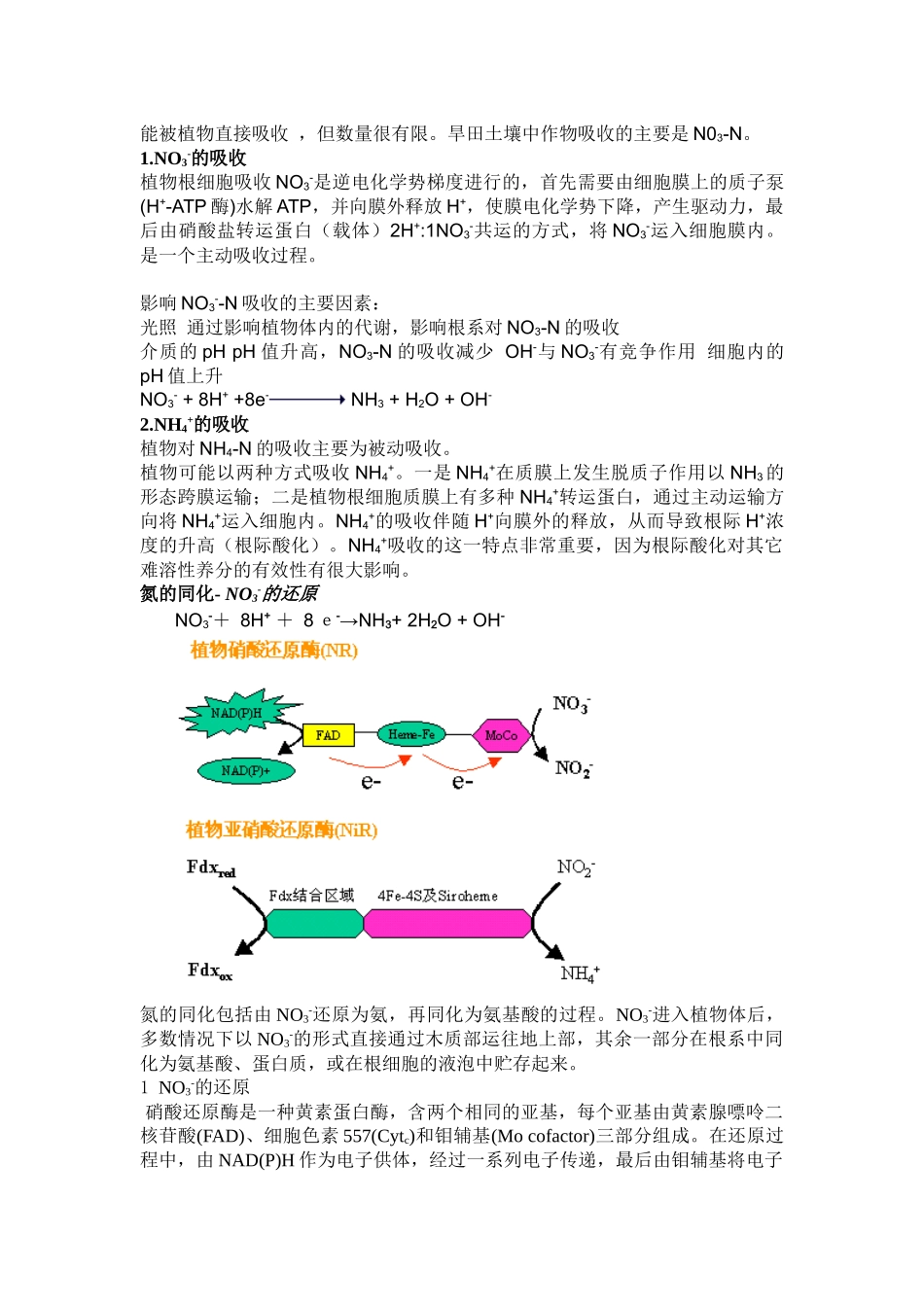 氮的营养功能和氮肥_第3页