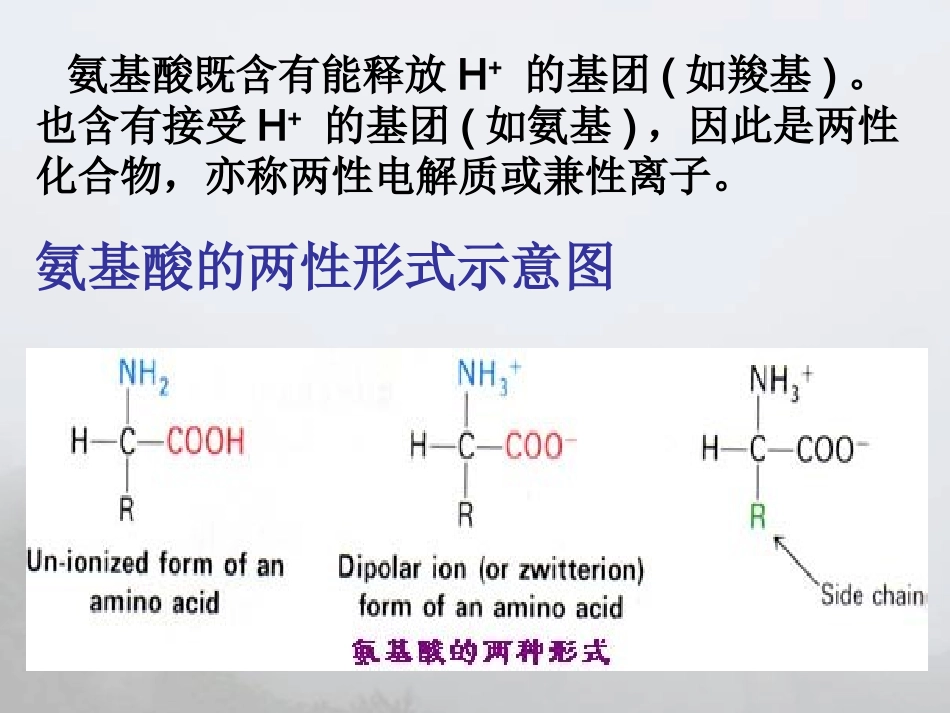 氨基酸的等电点的计算_第2页