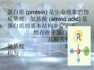 氨基酸的等电点的计算