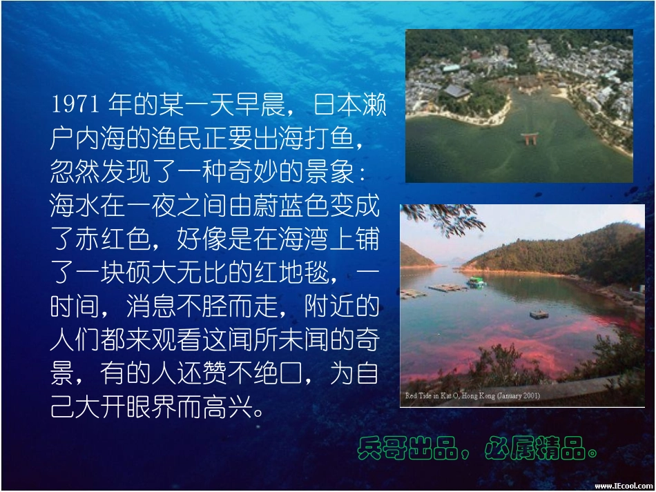 水体富营养化._第2页