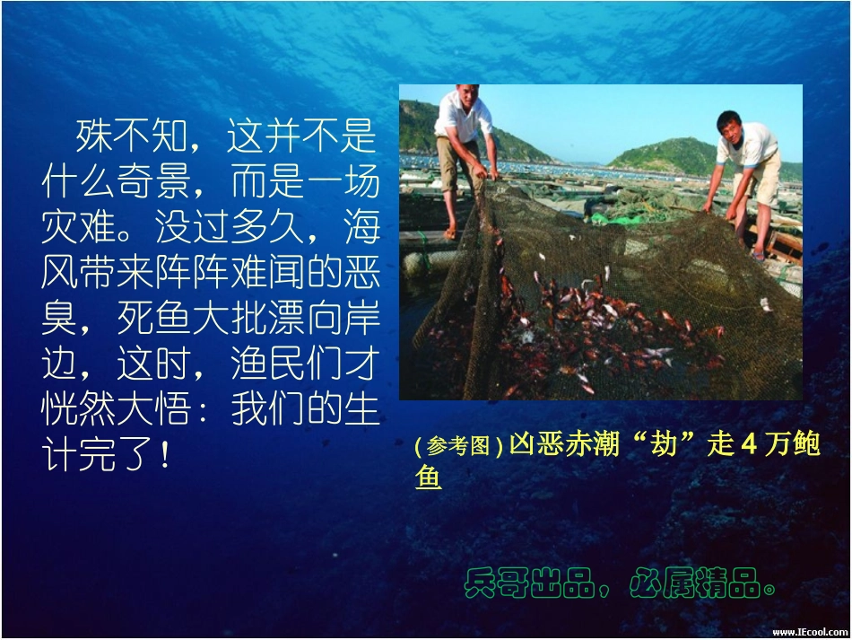水体富营养化._第3页