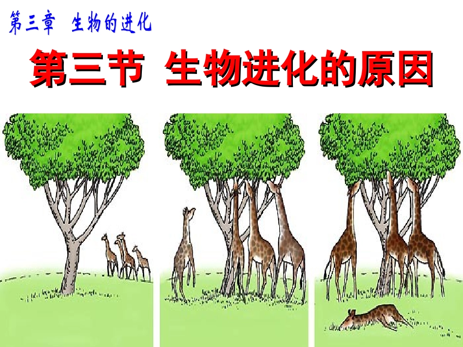 八年级生物下册第七单元第三章第三节-生物进化的原因课件_第3页