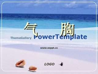 气胸及胸穿各个反应及注意事项