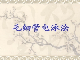 毛细管电泳法