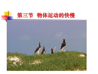 比较物体运动的快慢课件