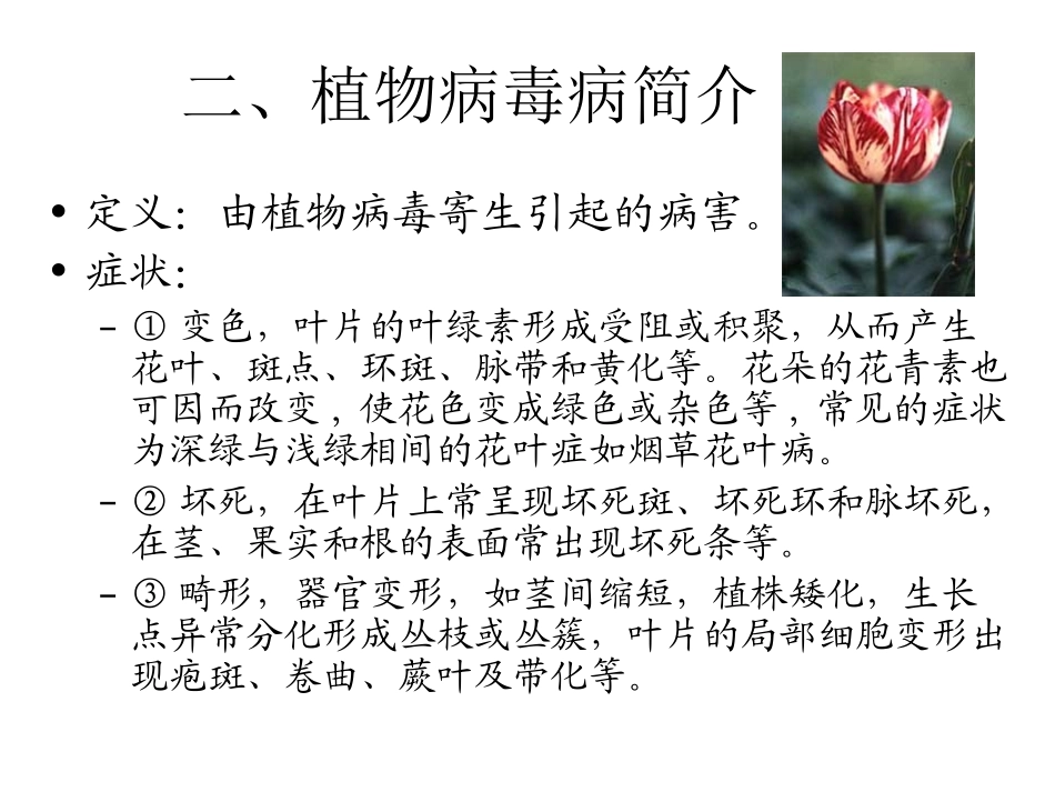 植物的脱毒培养与人工种子_第2页