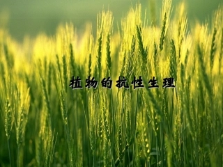 植物的抗逆生理