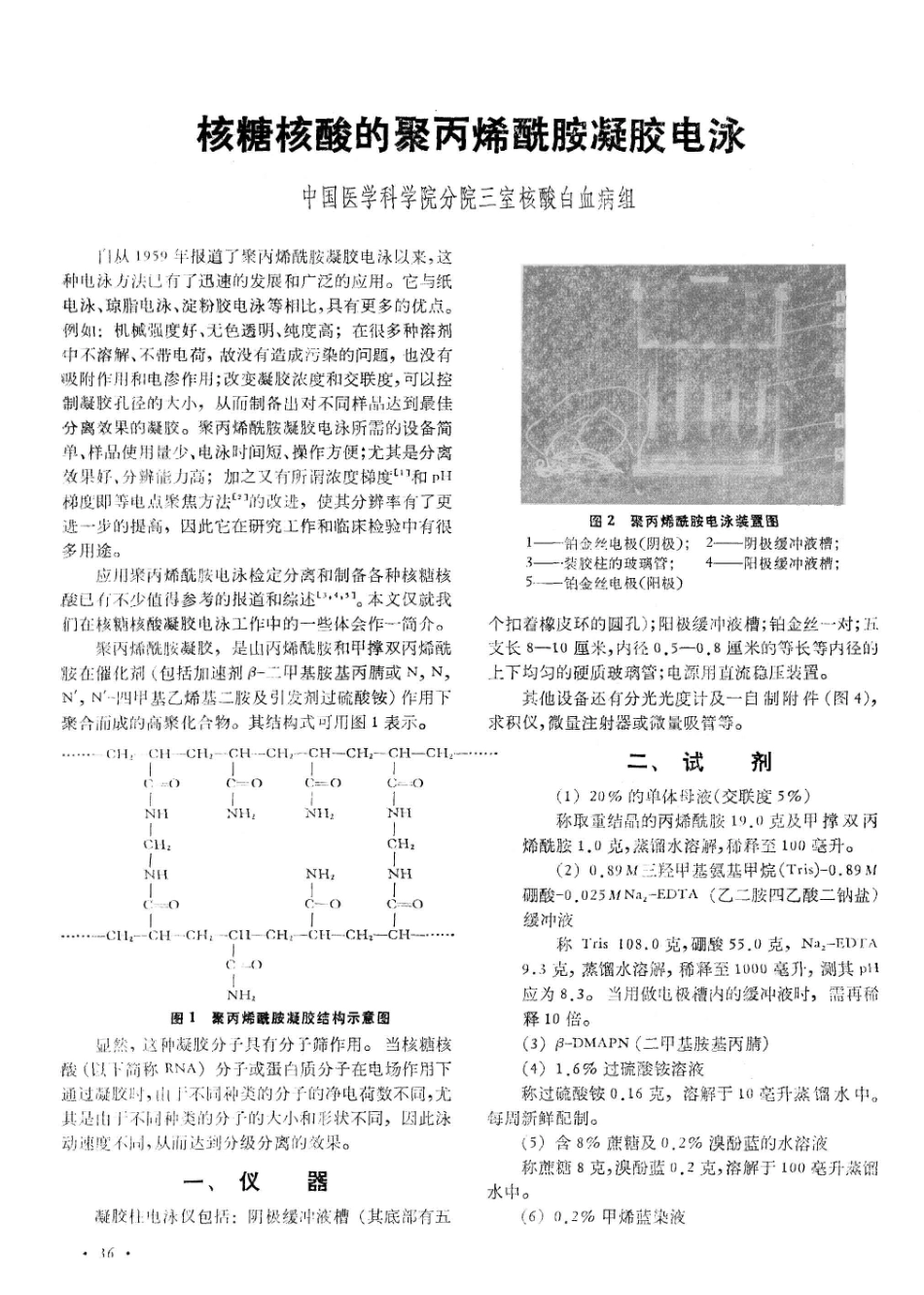 核糖核酸的聚丙烯酰胺凝胶电泳_第1页