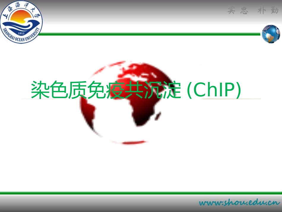 染色质免疫共沉淀PPT_第1页