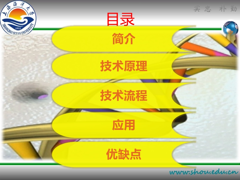 染色质免疫共沉淀PPT_第2页