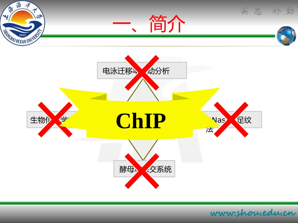 染色质免疫共沉淀PPT_第3页