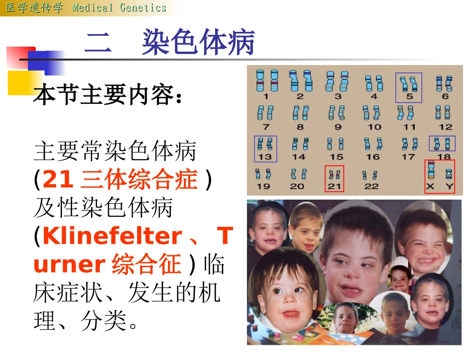 染色体病lsy_第1页