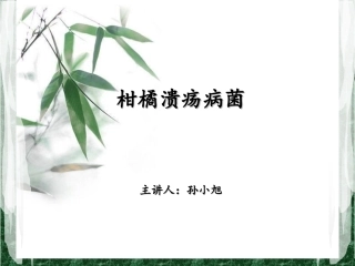 柑橘溃疡病菌