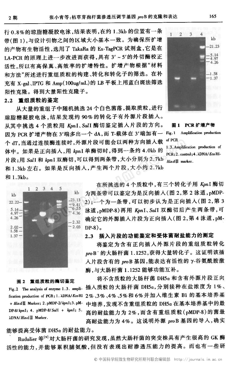 枯草芽孢杆菌渗透压调节基因proB的克隆和表达_第3页